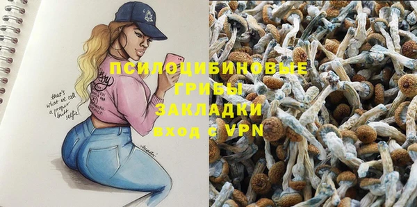 скорость mdpv Белокуриха