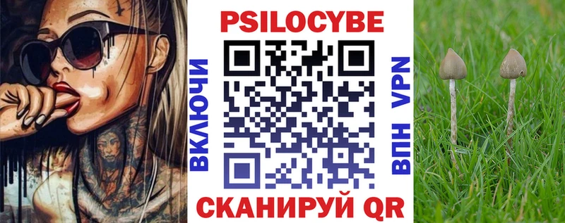 Галлюциногенные грибы Psilocybe  Долгопрудный 